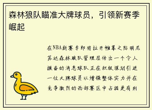 森林狼队瞄准大牌球员，引领新赛季崛起